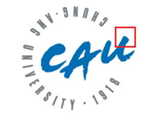 Partner University